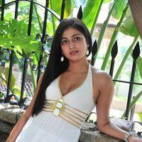 Haripriya New Photo Shoot - Pictures | Picture 115649